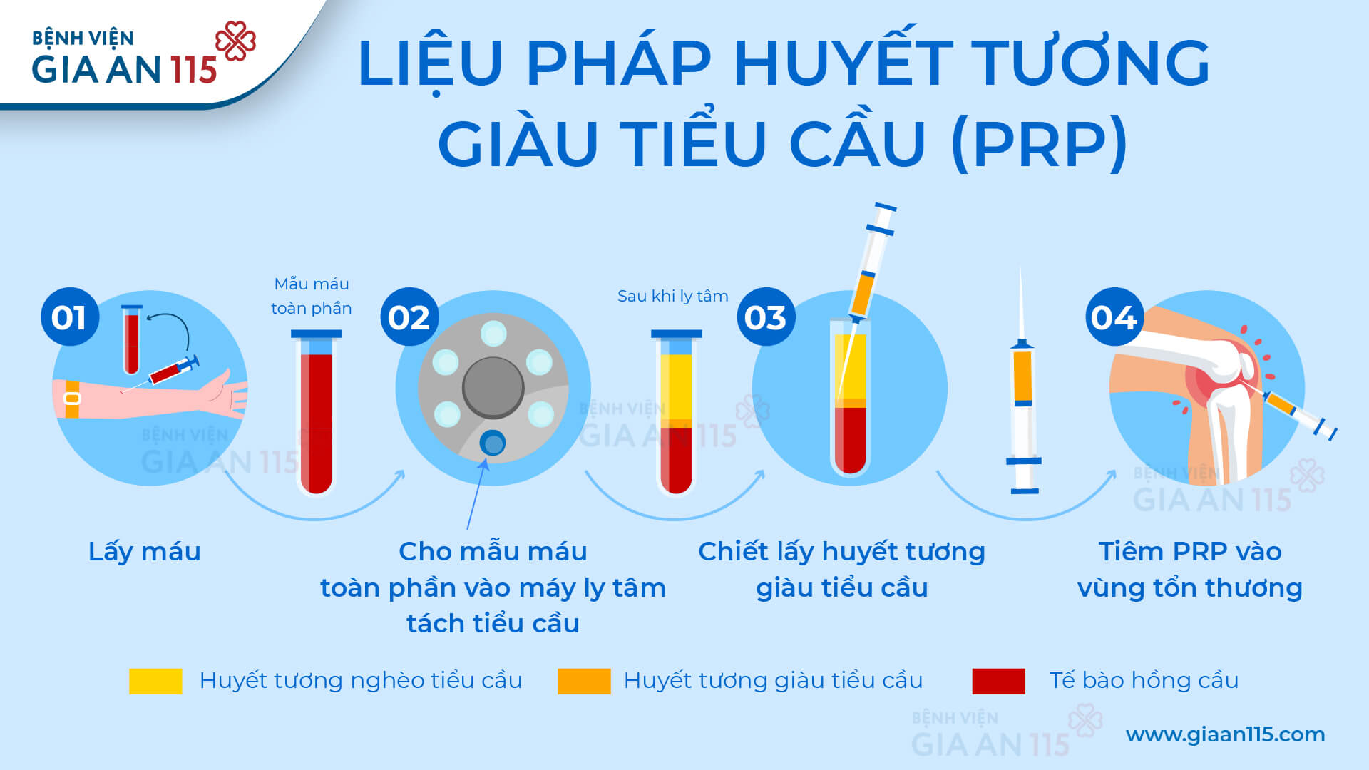 Cơ xương khớp