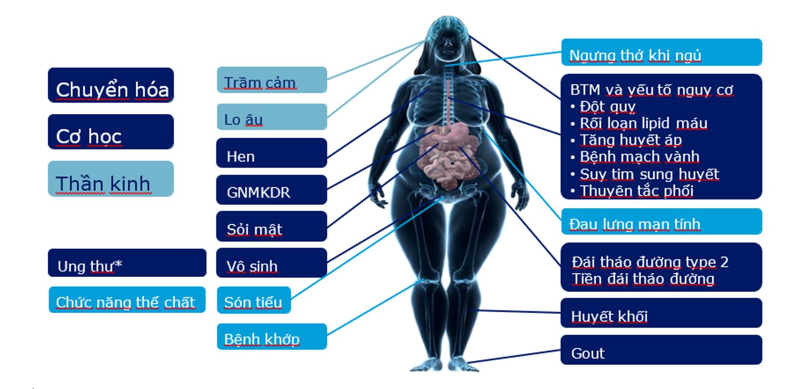 Các bệnh đi kèm bênh béo phì