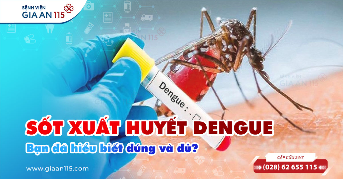 Sốt xuất huyết Dengue - Bạn đã hiểu biết đúng và đủ?