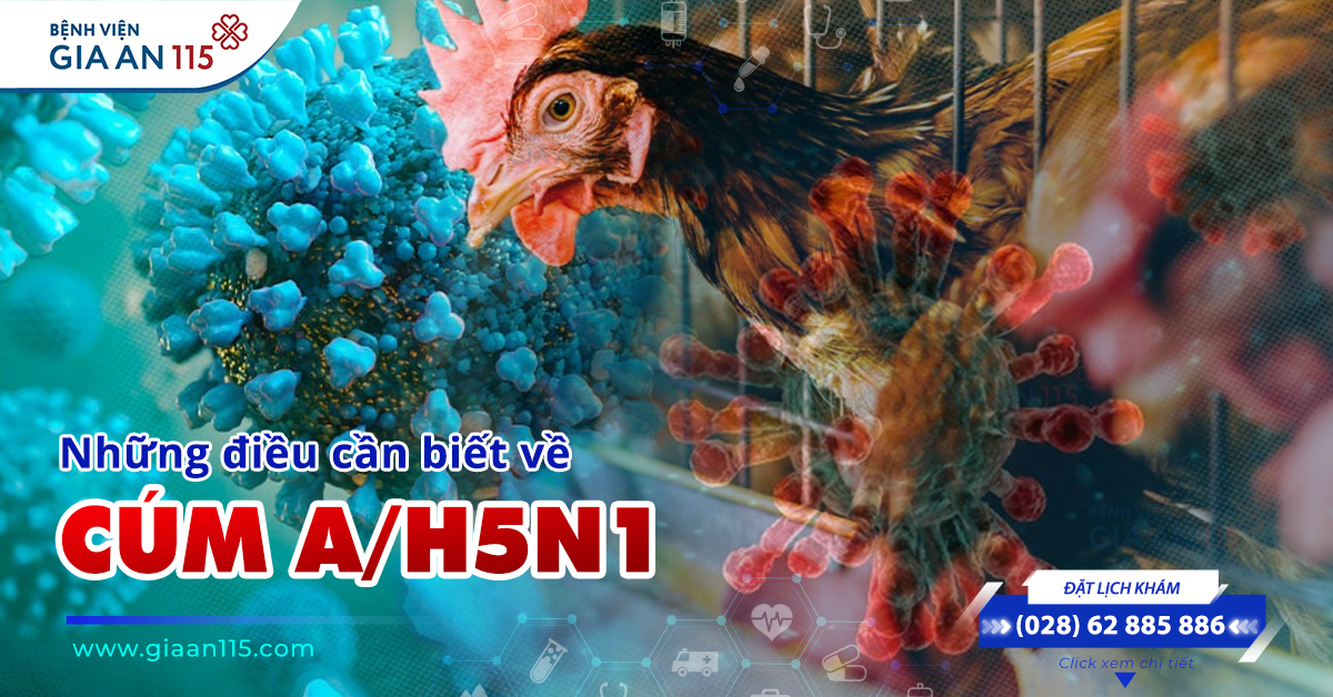 Những điều cần biết về cúm A/H5N1