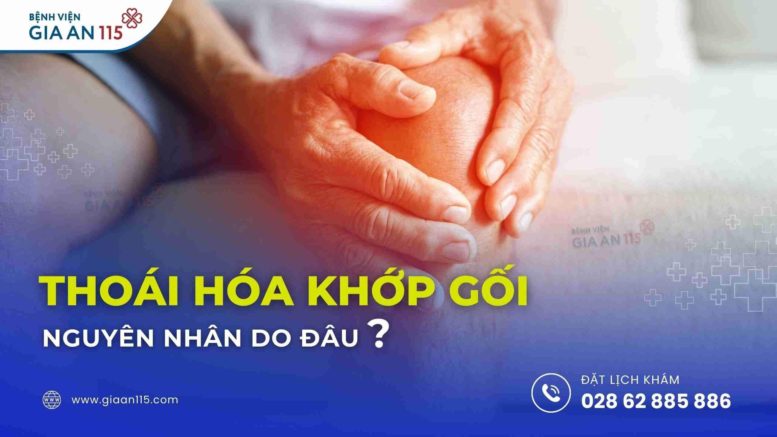 Cao tuổi là nguyên nhân gây thoái hóa khớp gối phổ biến nhất