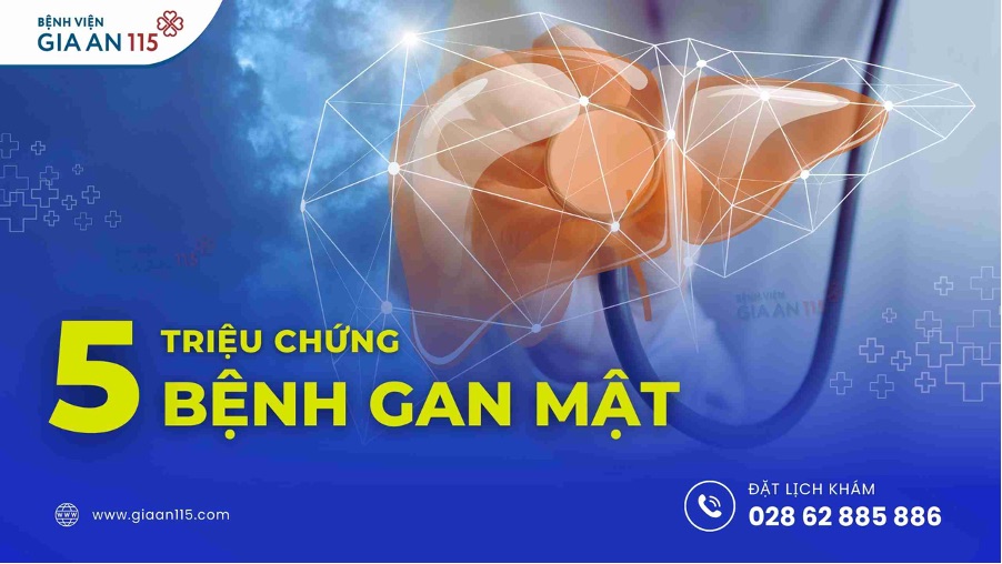 Gan thực hiện nhiệm vụ đào thải độc tố ra ngoài giúp duy trì sức khỏe con người