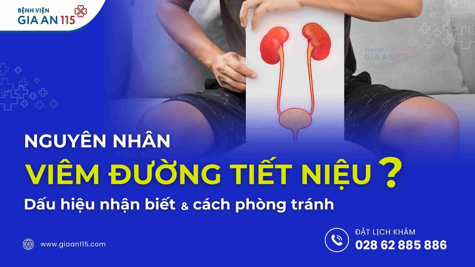 Tìm hiểu nguyên nhân bị viêm đường tiết niệu?