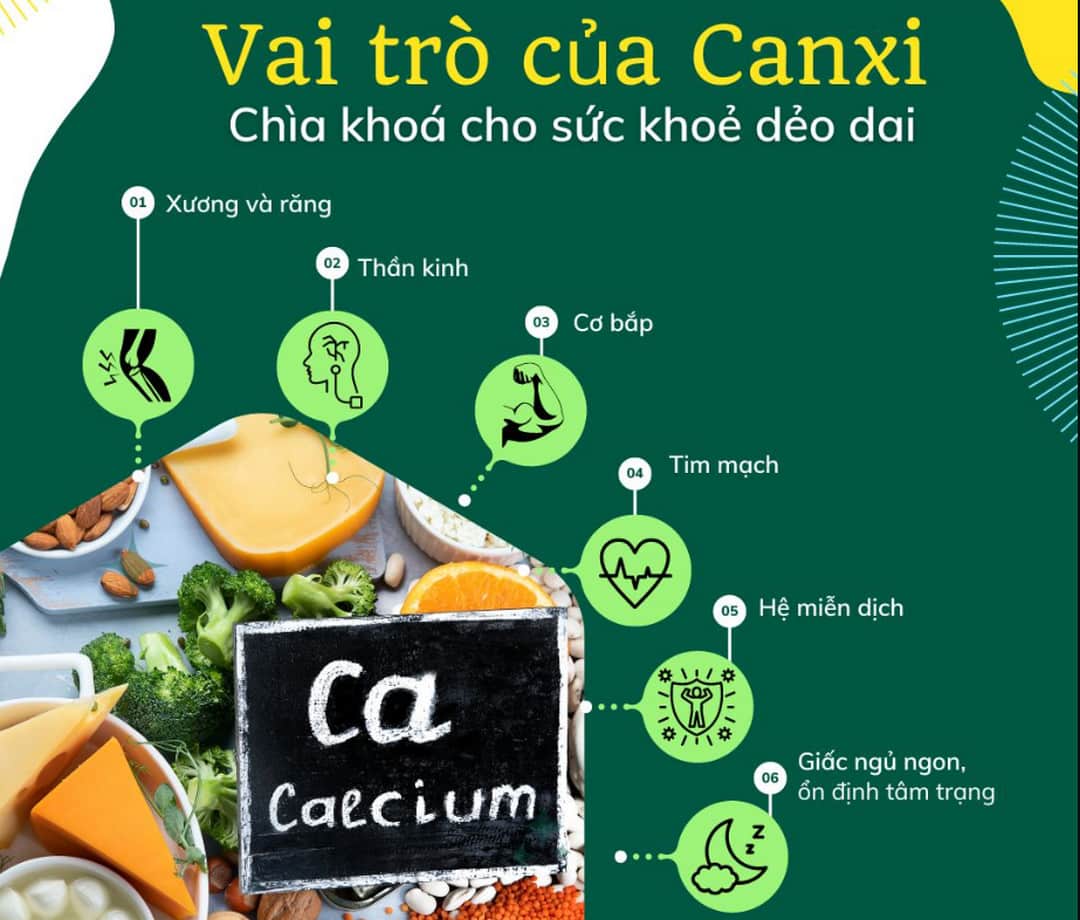 Canxi có vai trò vô cùng quan trọng với cơ thể mỗi người