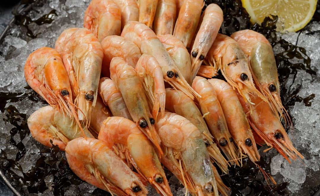 Viêm xoang ăn tôm được không? - Có nếu cơ thể không bị dị ứng