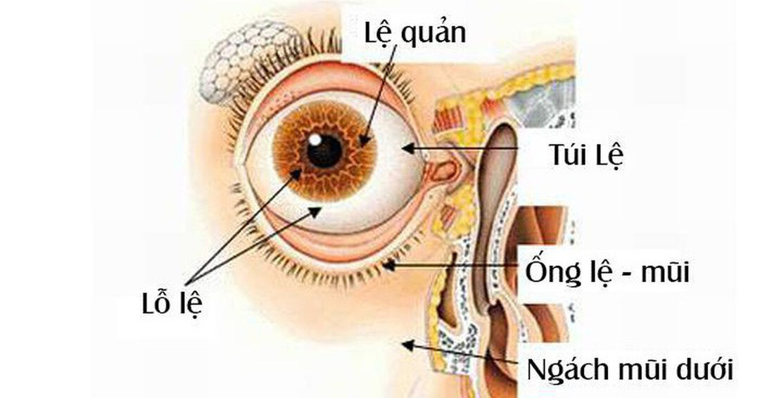 Hình ảnh tuyến lệ