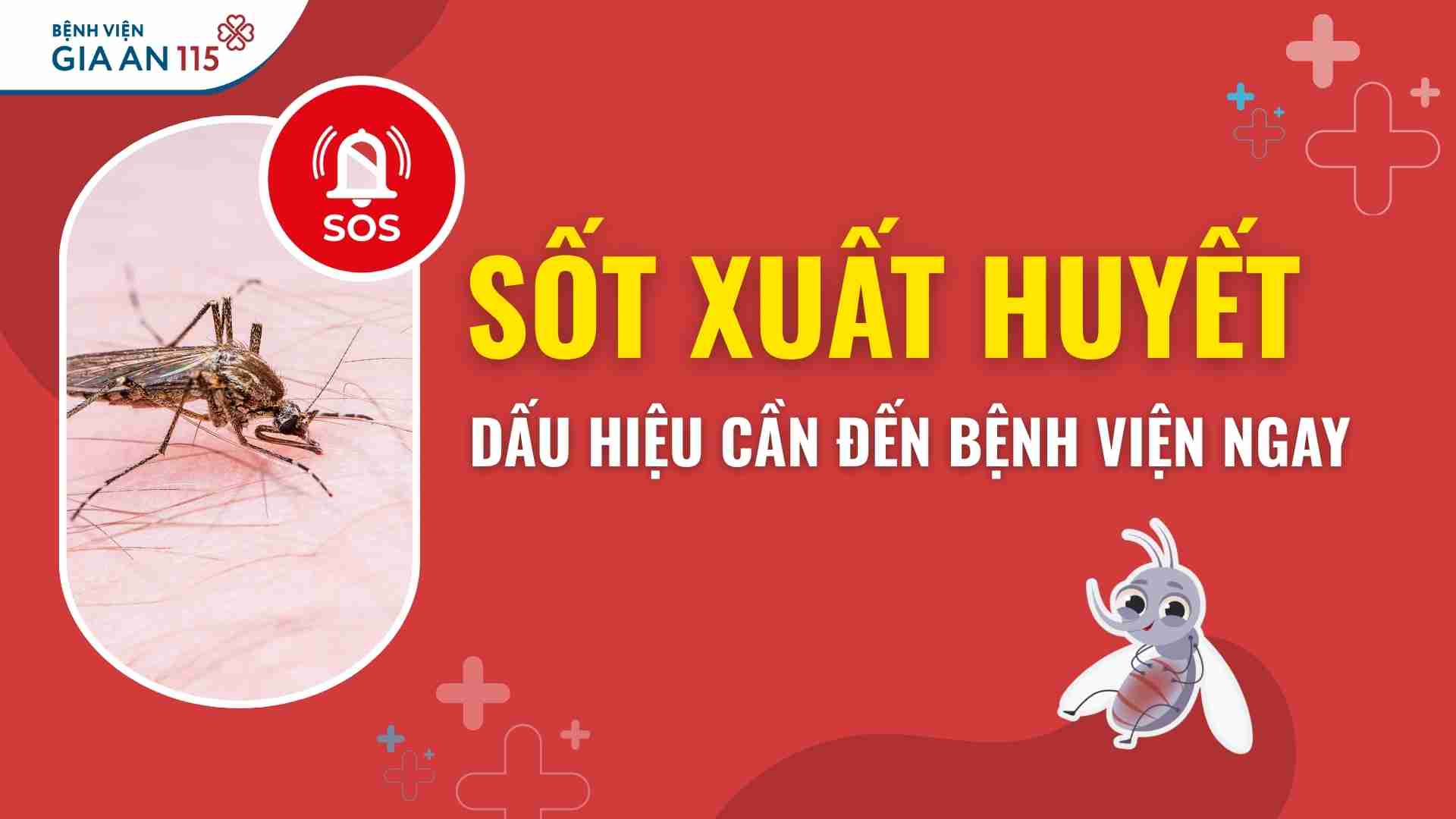 Sốt xuất huyết: Dấu hiệu nào cần đến bệnh viện ngay?