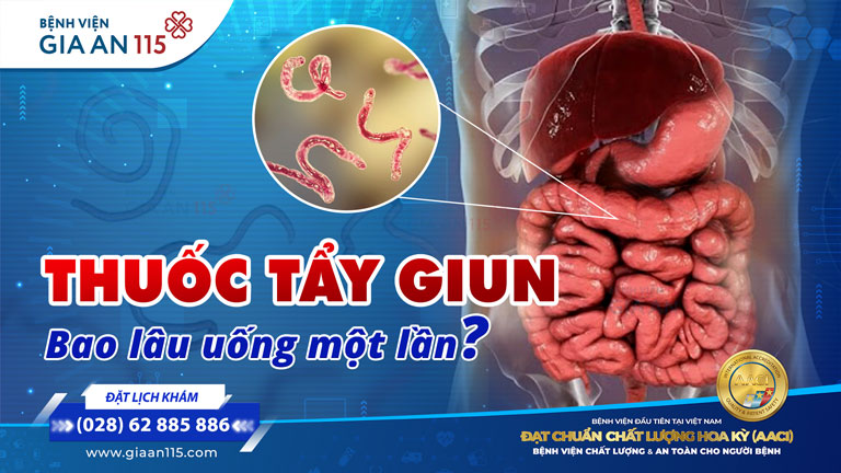 Bao lâu uống thuốc tẩy giun một lần