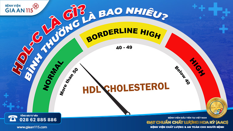 Cholesterol tốt (HDL-C) và cholesterol xấu (LDL-C): Khác nhau thế nào?
