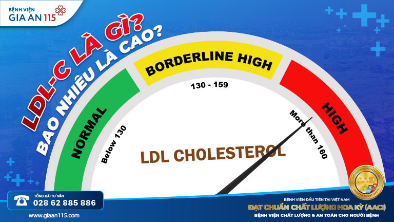 Cholesterol tốt (HDL-C) và cholesterol xấu (LDL-C): Khác nhau thế nào?