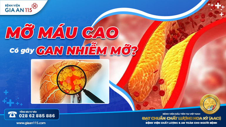 Mỡ máu cao có gây gan nhiễm mỡ không