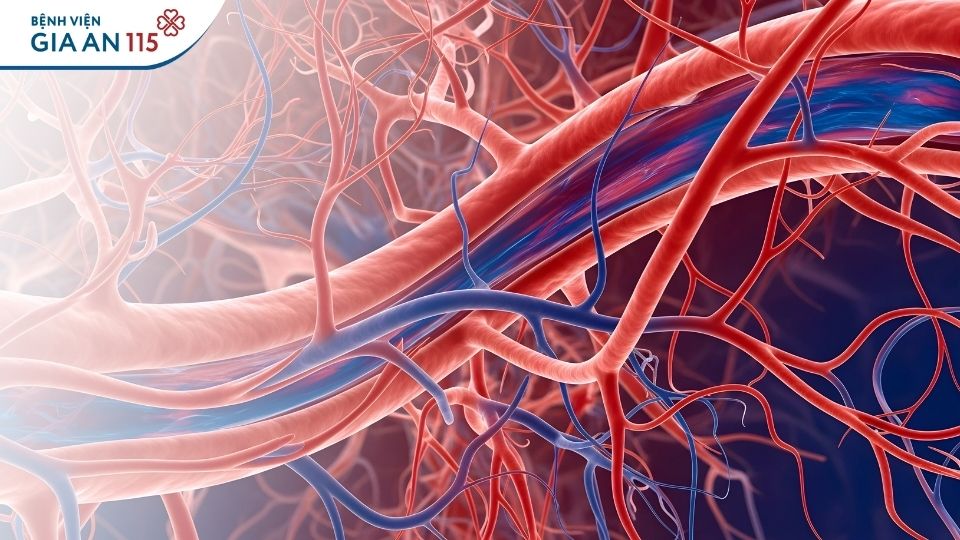 Đứt mạch máu ở tay có nguy hiểm không