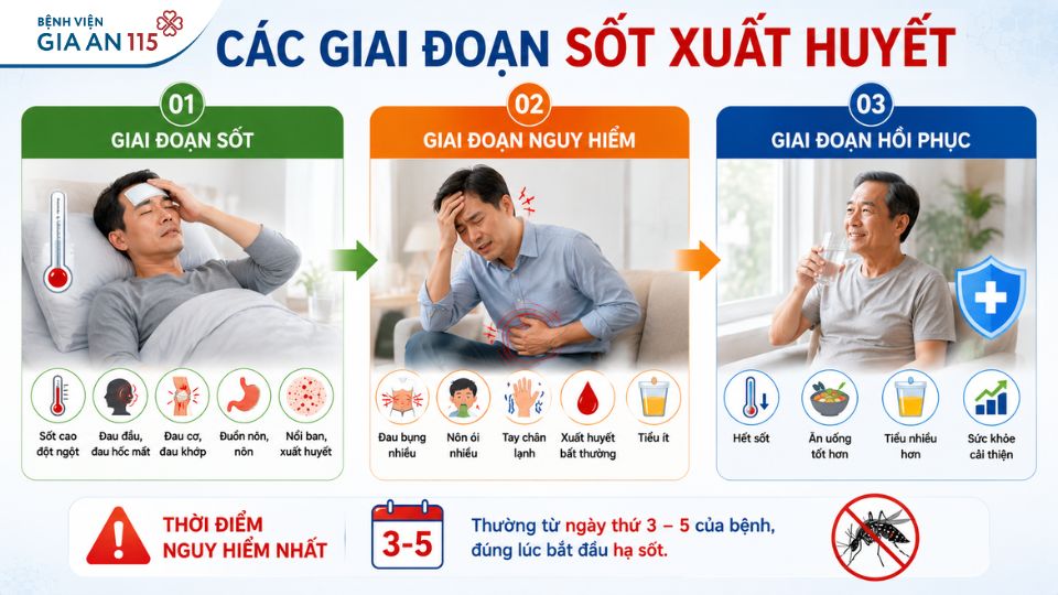 Sốt xuất huyết Dengue
